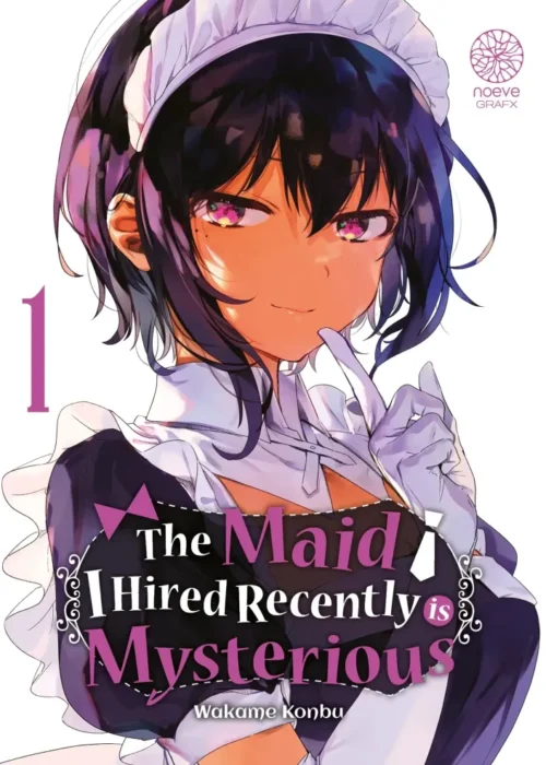 The maid I hired recently is mysterious